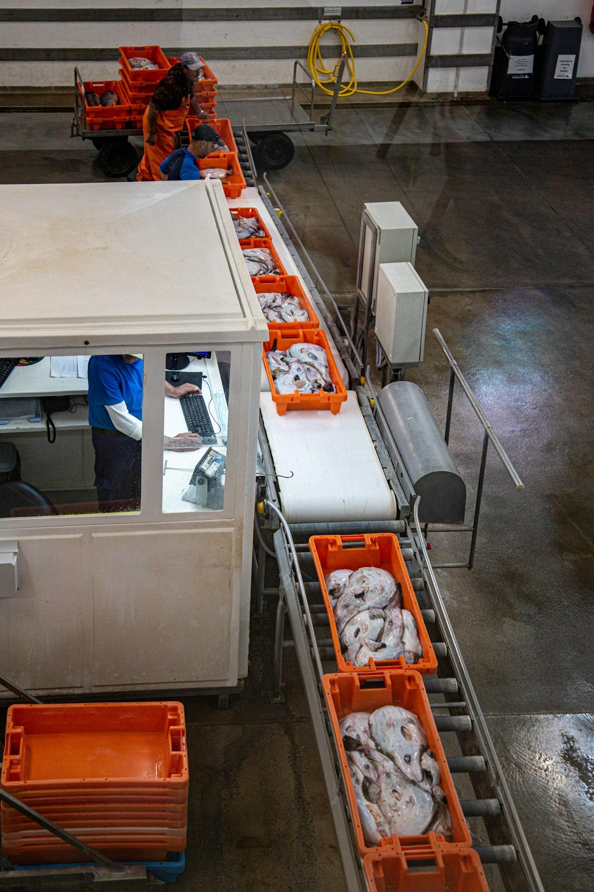 Industria Procesadoras de alimentos